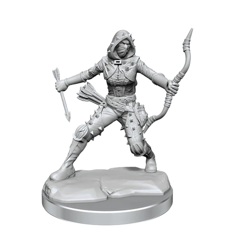 D&D Frameworks Human Rogue Female - Gap Games