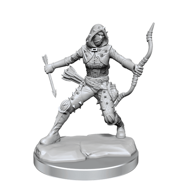 D&D Frameworks Human Rogue Female - Gap Games