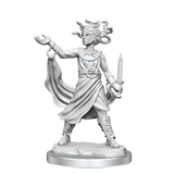D&D Frameworks Medusa - Gap Games