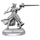 D&D Frameworks Tiefling Rogue Female - Gap Games