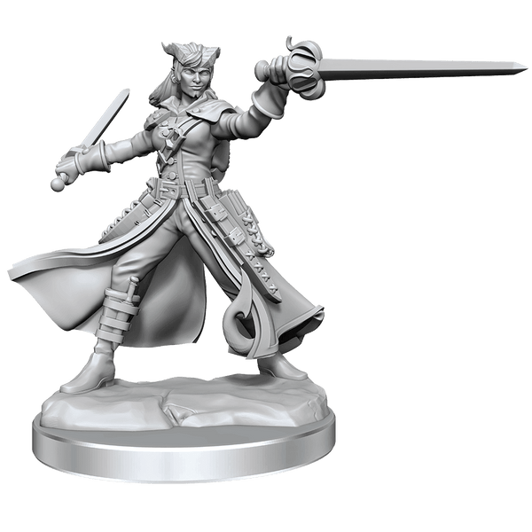 D&D Frameworks Tiefling Rogue Female - Gap Games