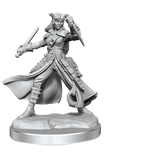 D&D Frameworks Tiefling Rogue Female - Gap Games