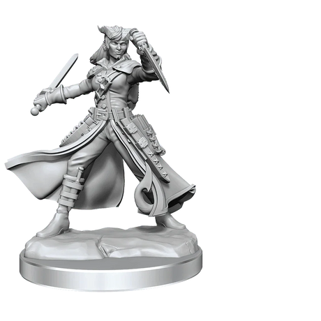 D&D Frameworks Tiefling Rogue Female - Gap Games
