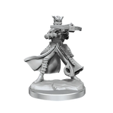 D&D Frameworks Tiefling Rogue Female - Gap Games