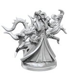 D&D Frameworks Tiefling Warlock Male - Gap Games