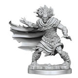 D&D Frameworks Wight - Gap Games