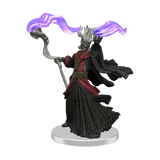 D&D Icons of the Realms Tomb of Annihilation Box 1 - Gap Games