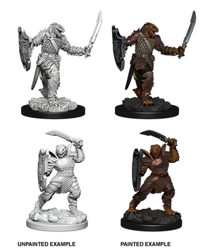 D&D Nolzurs Marvelous Unpainted Miniatures Dragonborn Female Paladin