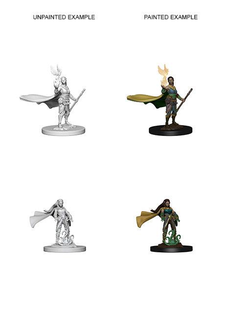 D&D Nolzurs Marvelous Unpainted Miniatures Elf Female Druid