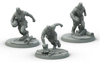 Fallout Wasteland Warfare Super Mutants Suiciders - Gap Games