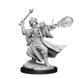 D&D Frameworks Human Wizard Male - Gap Games