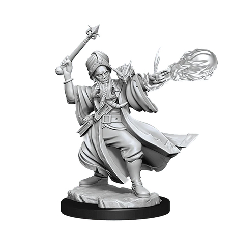 D&D Frameworks Human Wizard Male - Gap Games