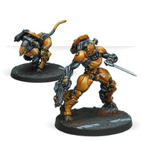 Infinity - Su-Jian Immediate Action Unit Yu Jing - Gap Games