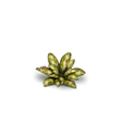 Laser Plants - Dumb Cane - Gap Games