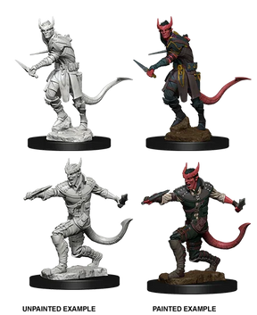 D&D Nolzurs Marvelous Unpainted Miniatures Tiefling Male Rogue
