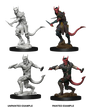 D&D Nolzurs Marvelous Unpainted Miniatures Tiefling Male Rogue