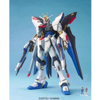 MG 1/100 STRIKE FREEDOM GUNDAM - Gap Games