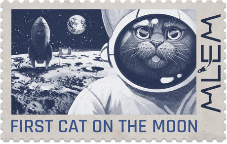 MLEM Space Agency - Gap Games