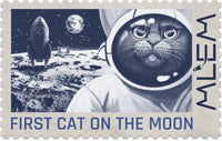MLEM Space Agency - Gap Games