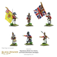 Napoleonic British Line Infantry command (Pensinsular War) - Gap Games