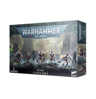Necrons: Flayed Ones - Gap Games