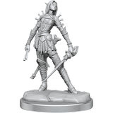 Pathfinder Legendary Cuts Elf Rogue Female - Gap Games