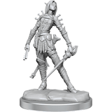 Pathfinder Legendary Cuts Elf Rogue Female - Gap Games