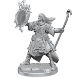 Pathfinder Legendary Cuts Human Wizard Male - Gap Games