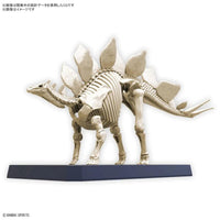 PLANNOSAURUS MODEL KIT STEGOSAURUS - Gap Games
