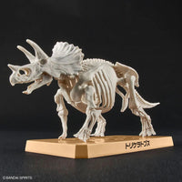 PLANNOSAURUS MODEL KIT TRICERATOPS - Gap Games