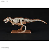 PLANNOSAURUS MODEL KIT TYRANNOSAURUS - Gap Games
