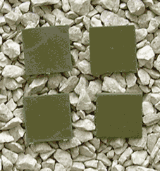 Renedra Bases - 20 X 20mm (40) - Gap Games