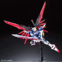 RG 1/144 DESTINY GUNDAM - Gap Games