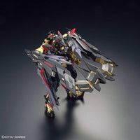 RG 1/144 GUNDAM ASTRAY GOLDFRAME AMATSU MINA - Gap Games