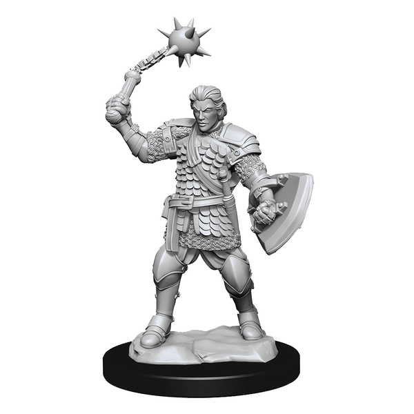 SALE Critical Role Unpainted Miniatures Human Clovis Concord Cleric Male - Gap Games