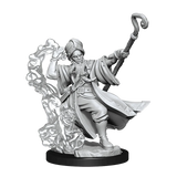 D&D Frameworks Human Wizard Male - Gap Games