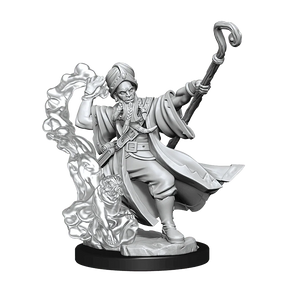 D&D Frameworks Human Wizard Male - Gap Games
