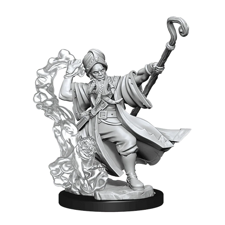 D&D Frameworks Human Wizard Male - Gap Games
