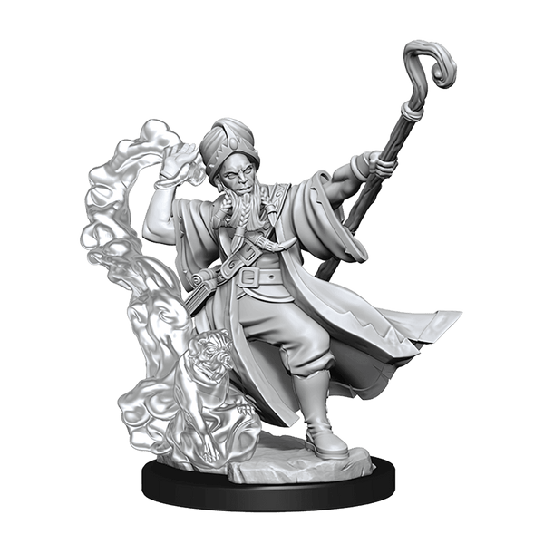 D&D Frameworks Human Wizard Male - Gap Games