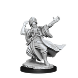 D&D Frameworks Human Wizard Male - Gap Games