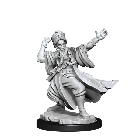 D&D Frameworks Human Wizard Male - Gap Games