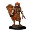 SALE D&D Premium Painted Figures Human Druid Male - Gap Games