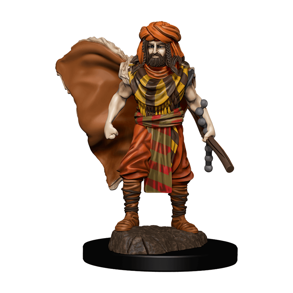 SALE D&D Premium Painted Figures Human Druid Male - Gap Games