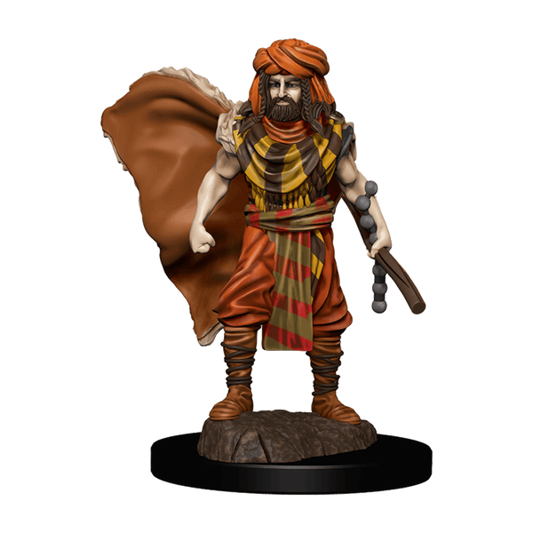 SALE D&D Premium Painted Figures Human Druid Male - Gap Games