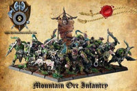 Shieldwolf - Mountain Orc Box - Gap Games