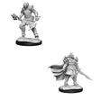 D&D Nolzurs Marvelous Unpainted Miniatures Dragonborn Fighter Female