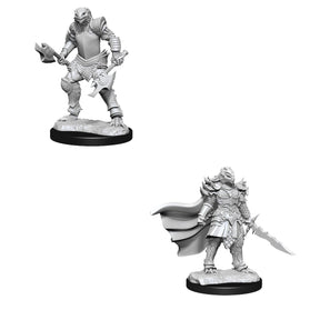D&D Nolzurs Marvelous Unpainted Miniatures Dragonborn Fighter Female