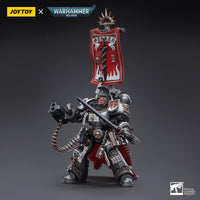 Warhammer Collectibles: 1/18 Scale Grey Knights Castellan Crowe - Gap Games