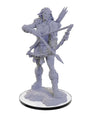 Pathfinder Deep Cuts Miniatures: Wood Giant
