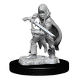 D&D Nolzurs Marvelous Unpainted Miniatures Halfling Rogue Male